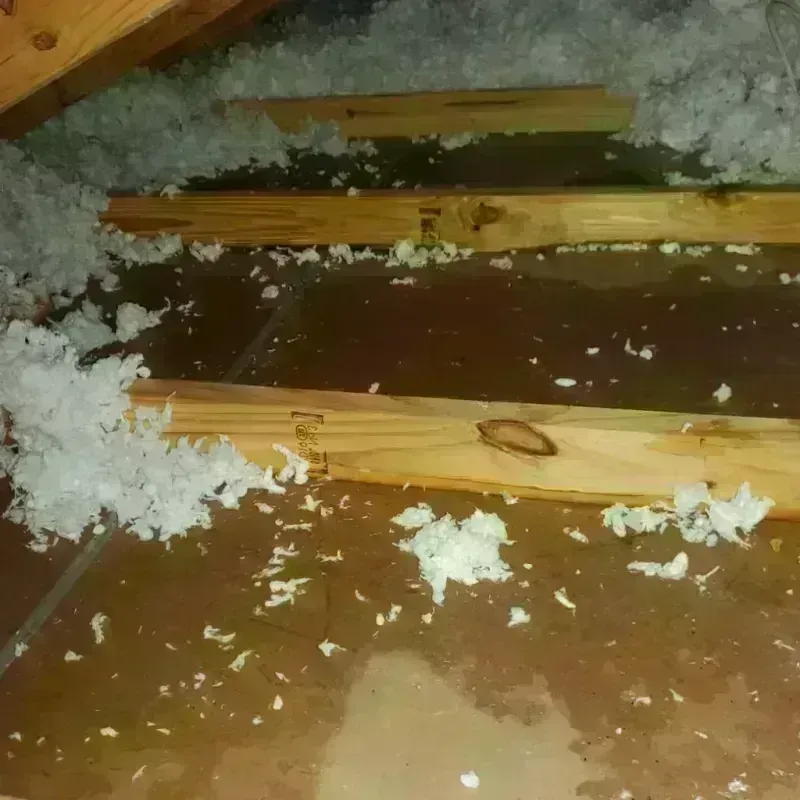 Attic Water Damage in Oak Harbor, OH