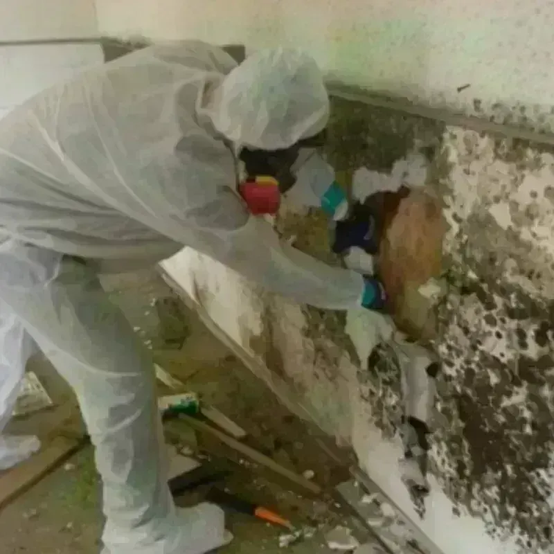 Mold Remediation and Removal in Oak Harbor, OH