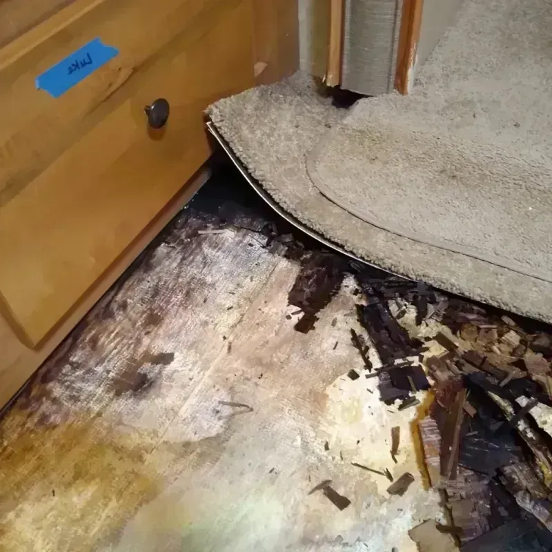 Wood Floor Water Damage in Oak Harbor, OH